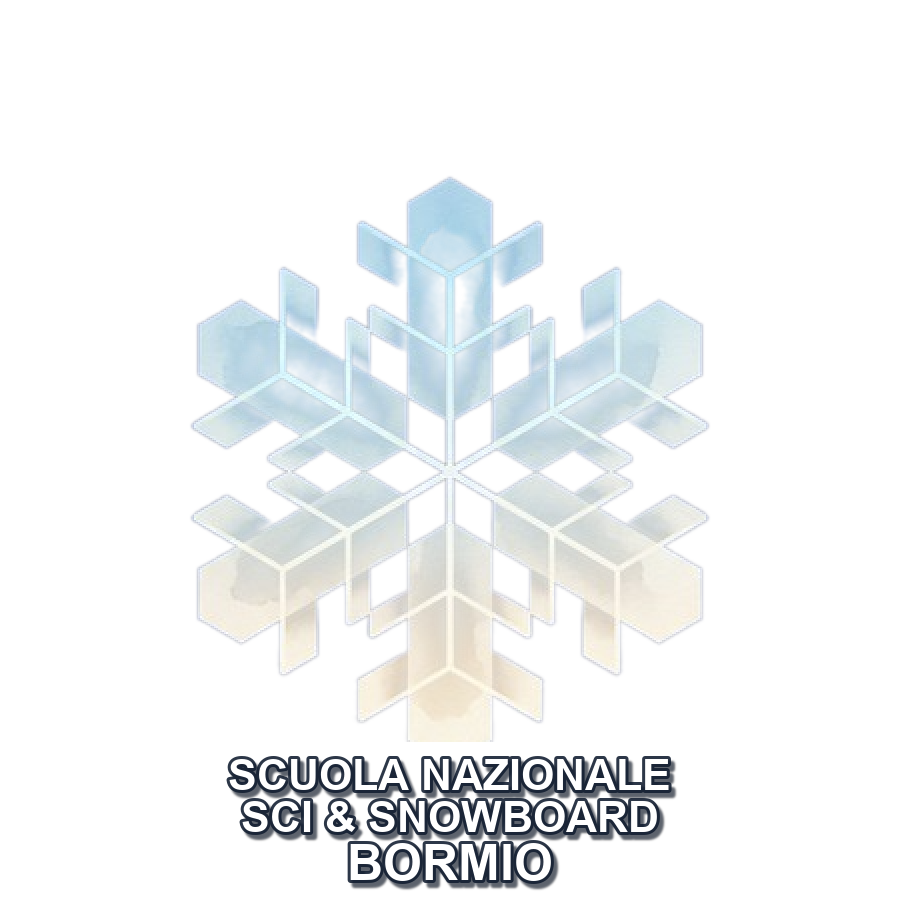 Cristallo di neve del logo Scuola Nazionale Sci & Snowboard Bormio